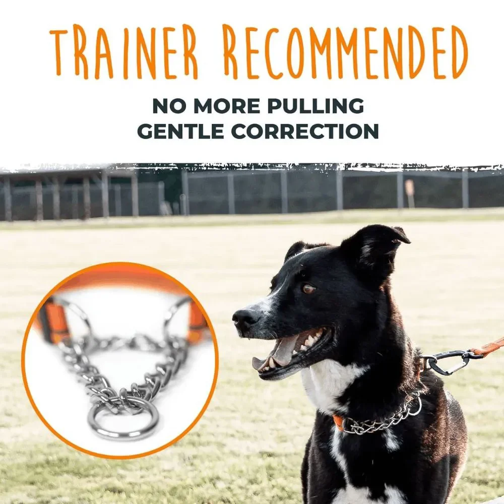 NWT Mighty Paw Orange Martingale Dog Collar 2.0